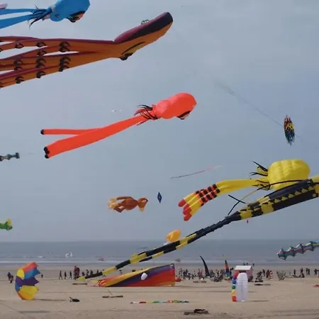 Les Pieds Dans L'eau ! Berck